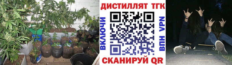 ТГК вейп с тгк  Купить где  Шиханы 