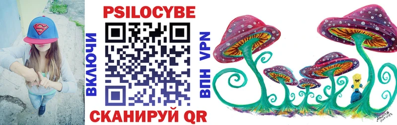 Купить где  Шиханы  Псилоцибиновые грибы мицелий 